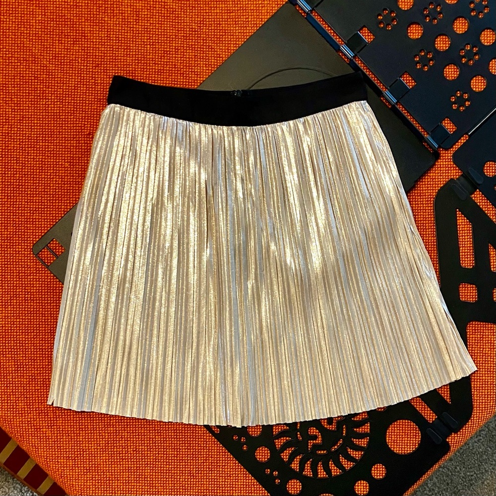 Forever 21 Pleated Midi Skirt